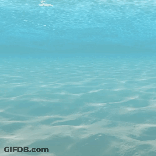 A Logo For Novo Scuba Diving Redefined Is Shown GIF