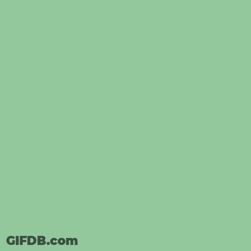 A Logo For Oranje Fonds Is Displayed On A Green Background GIF