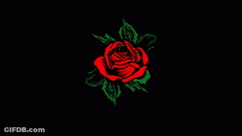 A Logo For Rosegold With A Red Rose GIF