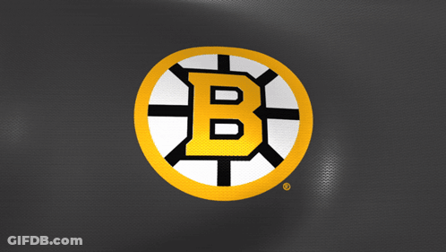 A Logo For The Boston Bruins With The Letter B In The Center GIF