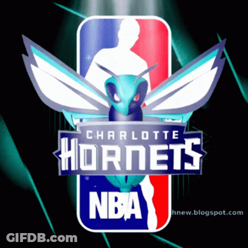 A Logo For The Charlotte Hornets Has A Bee On It GIF