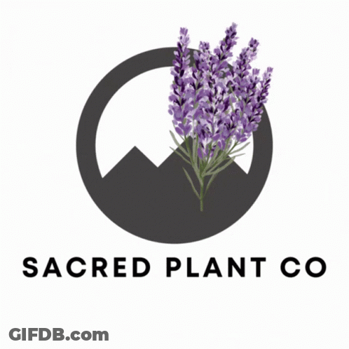 A Logo For The Sacred Plant Co. With Purple Flowers And A Sign That Says Herbs GIF