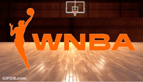 A Logo For The Women 'S National Basketball Association Is Shown GIF