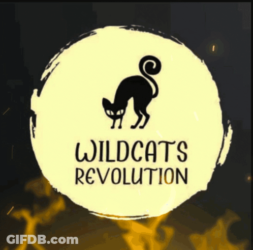A Logo For Wildcats Revolution With A Black Cat In The Center GIF