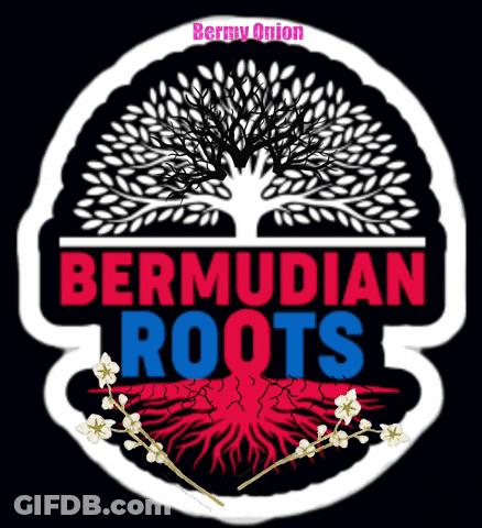 A Logo That Says Bermudian Roots With A Tree In The Center GIF