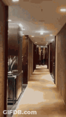 A Long Hallway In A Hotel With A Carpet On The Floor GIF
