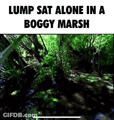 A Lump Sits Alone In A Boggy Marsh With Trees In The Background GIF