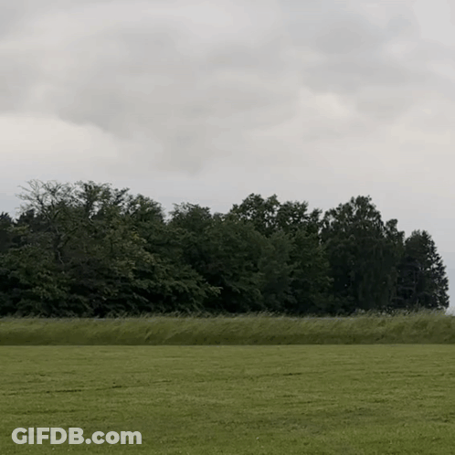 A Lush Green Field With Trees In The Background And A Cloudy Sky GIF