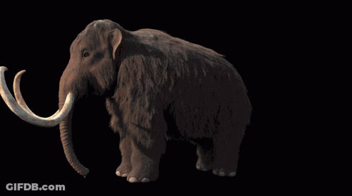 A Mammoth With Huge Tusks Is Standing In The Dark GIF