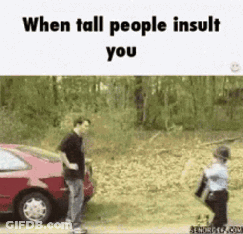 A Man And A Boy Are Standing Next To A Red Car With The Words When Tall People Insult You GIF