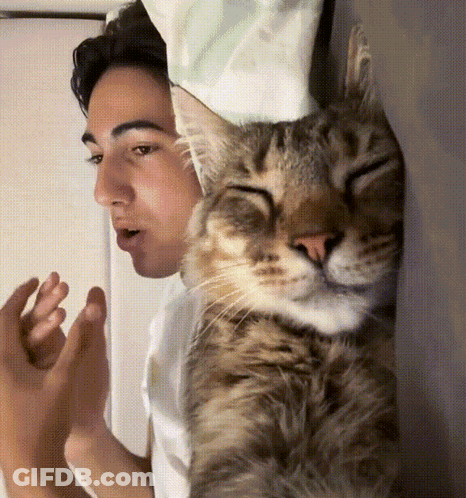 A Man And A Cat Are Looking At Each Other GIF