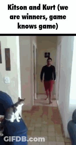 A Man And A Cat Are Playing A Game In A Hallway GIF