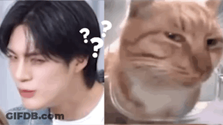 A Man And A Cat Are Sitting Next To Each Other And Making Funny Faces . GIF