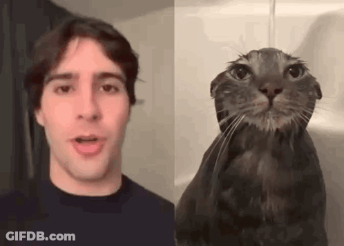 A Man And A Cat Are Standing Next To Each Other In A Bathroom . GIF