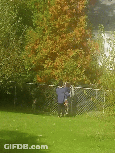 A Man And A Child Are Standing In Front Of A Chain Link Fence In A Park GIF