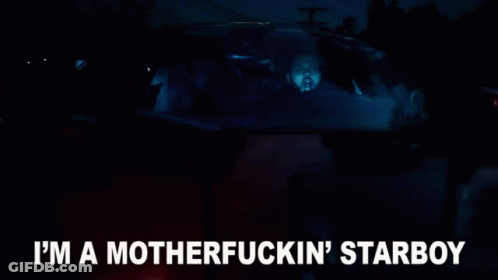 A Man And A Dog Are Driving A Car At Night And The Dog Is Looking Out The Window . GIF
