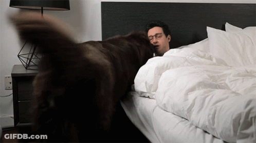 A Man And A Dog Are Laying On A Bed Covered In White Sheets GIF