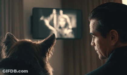 A Man And A Dog Are Looking At A Television GIF