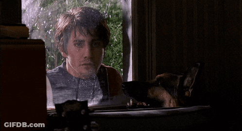 A Man And A Dog Are Looking Out A Window GIF