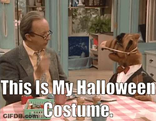A Man And A Dog Are Sitting At A Table With The Words " This Is My Halloween Costume " Above Them GIF