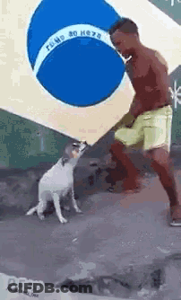 A Man And A Dog Are Standing In Front Of A Flag . GIF