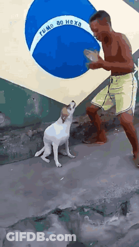 A Man And A Dog Are Standing In Front Of A Flag That Says Fumo Ao Hexa GIF