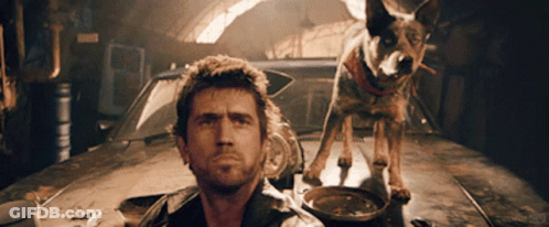 A Man And A Dog Are Standing Next To A Car And The Dog Is Looking At The Camera GIF