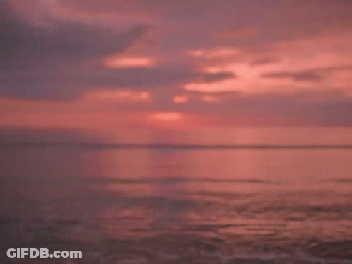A Man And A Woman Are Looking At Each Other On A Beach At Sunset GIF
