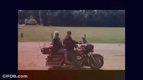 A Man And A Woman Are Riding A Motorcycle With A Dog On The Back . GIF
