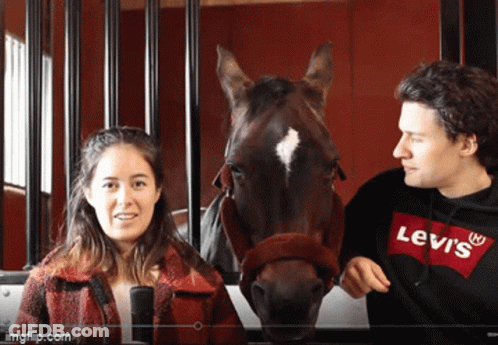 A Man And A Woman Are Standing Next To A Horse And The Man Is Wearing A Levi 'S Shirt GIF