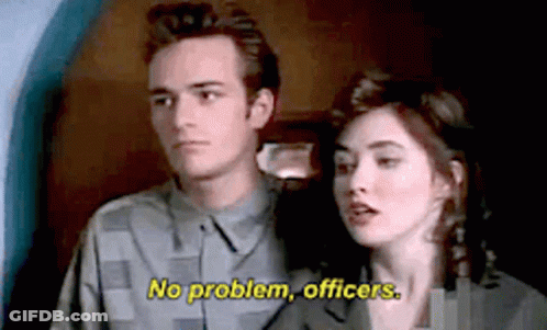 A Man And A Woman Are Standing Next To Each Other And The Woman Is Saying No Problem , Officers . GIF