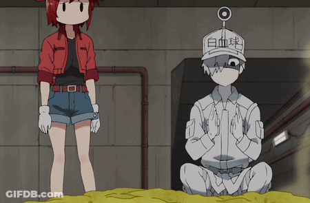 A Man And A Woman Are Standing Next To Each Other With One Wearing A Hat That Says " 白血球 " On It GIF