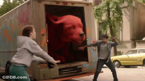 A Man And A Woman Are Trying To Get A Stuffed Red Dog Out Of The Back Of A Truck GIF