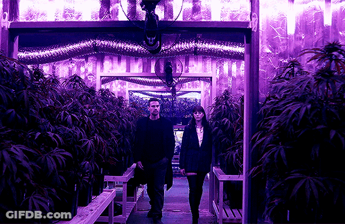 A Man And A Woman Are Walking Through A Purple Room GIF