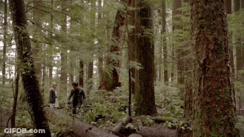 Man And Woman Walking Through Woods GIF