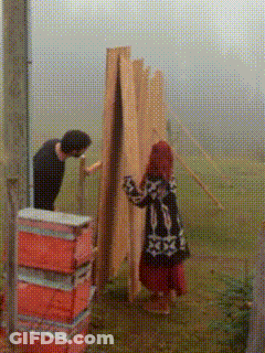 A Man And A Woman Are Working On A Wooden Fence In A Field GIF