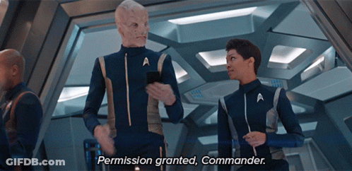 A Man And A Woman Standing Next To Each Other With Permission Granted Commander GIF