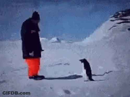 A Man And Penguin Are Standing In The Snow Looking At Each Other GIF