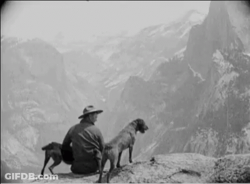 A Man And Two Dogs Are Sitting On Top Of A Rock Looking At A Mountain Range . GIF