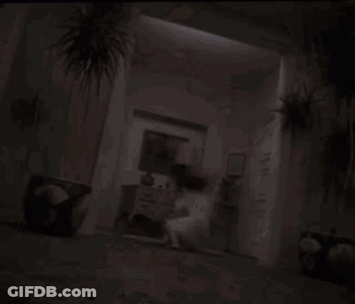 A Man And Woman Are Kissing In A Dark Room . GIF