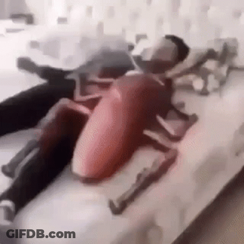 A Man And Woman Are Laying On A Bed With A Cockroach On The Bed . GIF