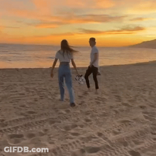 A Man And Woman Are Walking On The Beach At Sunset . GIF