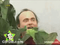 A Man Behind A Plant With A Star And The Words Live On The Bottom GIF
