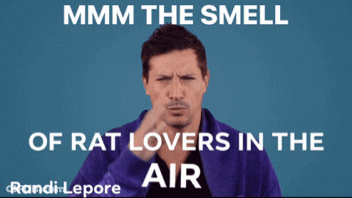 A Man Covering His Nose With His Hand And A Caption That Says ' Mmmm The Smell Of Rat Lovers In The Air ' GIF
