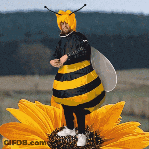 A Man Dressed As A Bee Is Standing On A Flower GIF