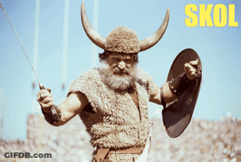 A Man Dressed As A Viking Holding A Sword And Shield With The Word Skol In Yellow GIF