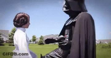 A Man Dressed As Darth Vader And A Woman Dressed As Leia Are Standing Next To Each Other In A Field . GIF