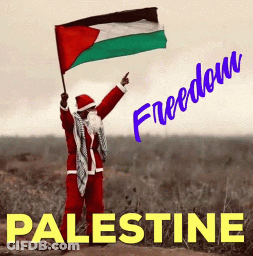 A Man Dressed As Santa Claus Holding A Palestinian Flag GIF