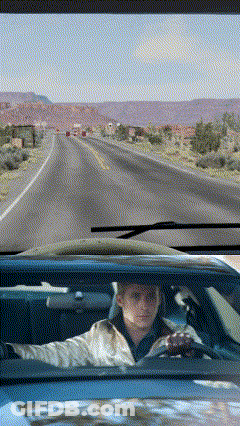 A Man Driving A Car With A Dog In The Back GIF
