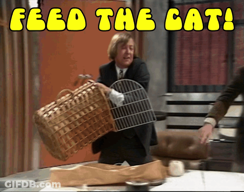 A Man Holding A Basket And A Cage With The Words Feed The Cat Written Above Him GIF